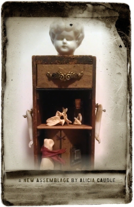 mixed media assemblage, doll parts, taxidermy, alicia caudle, doll box, shrine, frozen charlotte, doll parts, bones